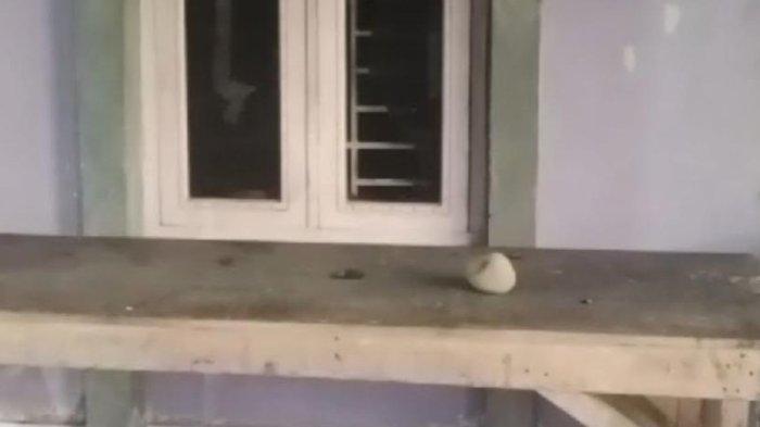 Kondisi rumah oknum wartawan yang diserang atau dilempar menggunakan batu di Dusun Pangkal Pasar, Desa Pantai Cermin, Kecamatan Tanjung Pura, Kabupaten Langkat, Sumatera Utara, Minggu (8/12/2024).