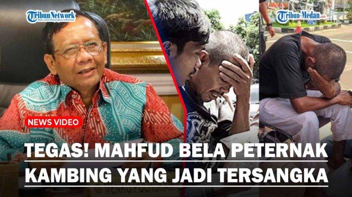 MENOHOK! Mahfud MD Sebut Peternak Kambing yang Lawan Maling Tak Bisa Dipidana