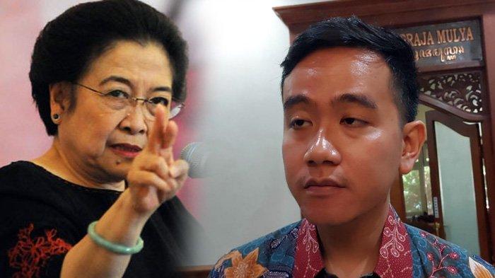 Wali Kota Solo Gibran Rakabuming Raka menanggapi pernyataan Ketua Umum PDIP Megawati Soekarnoputri menilai sudah tampak adanya kecurangan Pemilu 2024. (Kolase/Kompas.com)