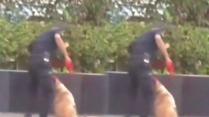 NASIB Sekuriti Mal Pukul Anjing, Kini Diselidiki Polisi, Plaza Indonesia Putus Kontrak Pelaku