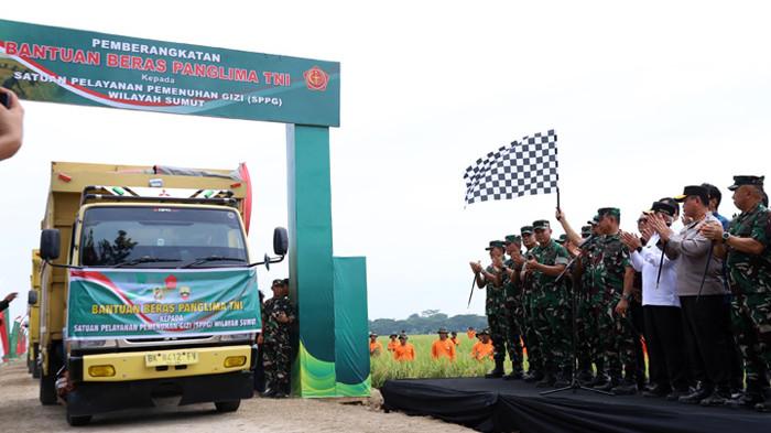 PANGLIMA TNI PANEN PADI DI SUMUT DELISERDANG