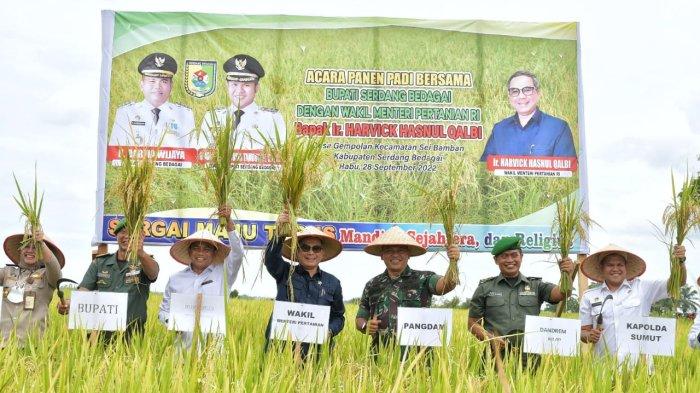 Bupati Sergai Darma Wijaya Dampingi Wakil Menteri Pertanian Ri Harvick