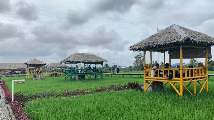 Wisata Sawah Pematang Johar, Tawarkan Pemandangan di Tengah Sawah
