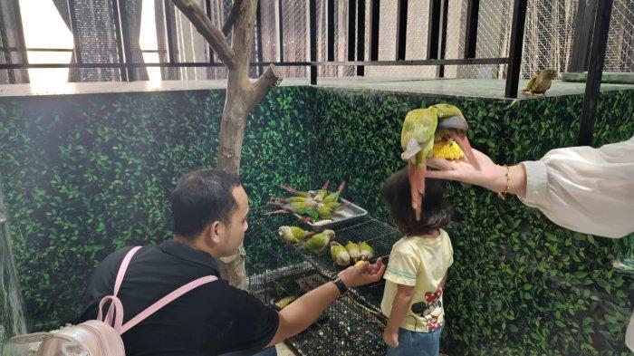 Pengalaman berinteraksi langsung dengan hewan di Mini Zoo Delipark Mall, Animal Xperience, yang akan berlangsung selama libur sekolah, 29 Juni - 21 Juli 2024.