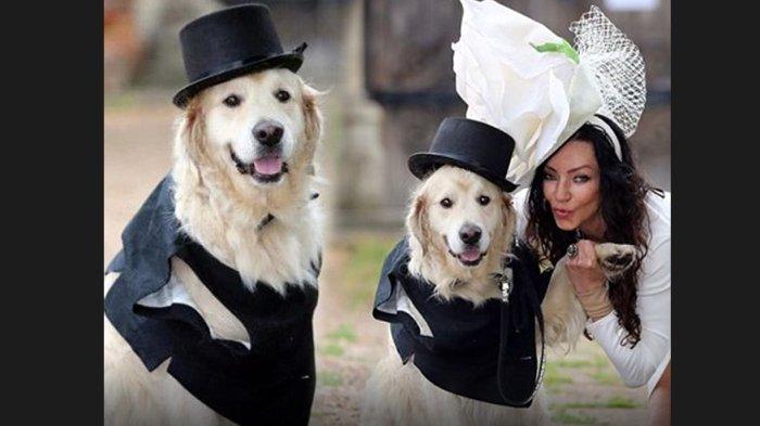 Percintaan Kerap Gagal, Wanita Memilih Menikahi Anjingnya Sendiri