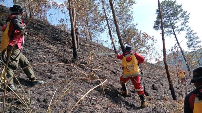 Personel Manggala Agni DaOps Sibolangit melakukan upaya pendinginan dengan cara mopping up kawasan lahan yang terbakar di Desa Tongging, Kecamatan Merek, Senin (29/7/2024).
