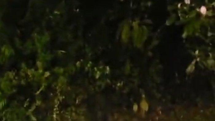 Personel Polres Tanah Karo beserta warga membantu proses evakuasi jenazah wanita asal Kota Binjai yang terjatuh ke jurang di kawasan Penatapan, Berastagi, Jumat (12/4/2024) malam.