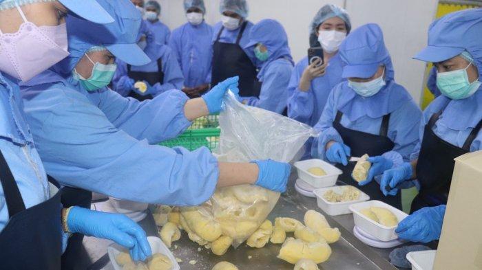 Perusahaan Eksportir Durian Di Distrik Khlong Luang, Provinsi Pathum Thani, Thailand. (Diskominfo Pakpak Bharat)
