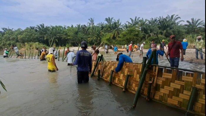 Petani membendung aliran Sungai Dalu-dalu agar air mengaliri pintu irigasi ke lahan Sawah di Desa Sukaraja, Kecamatan Air Putih, Kabupaten Batubara, Rabu (24/1/2024).