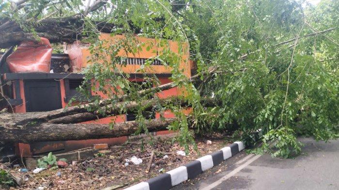 Pohon tumbang menimpa salah satu bangunan kantor Pos Indonesia di Jalan Surdiman Medan pada Selasa (10/6/2025).