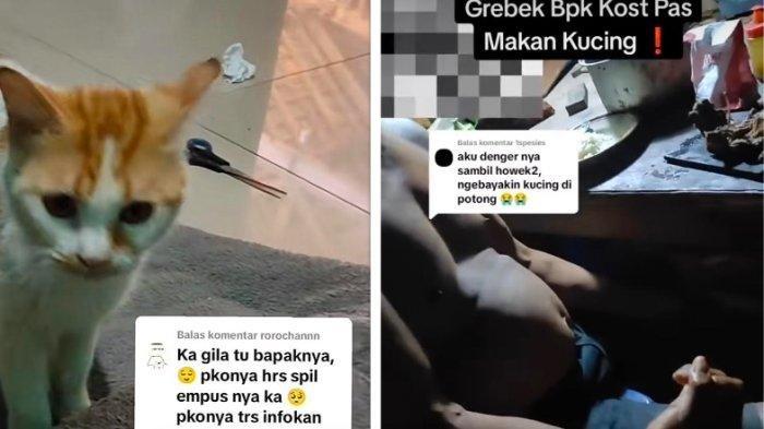 Pria di Gunungpati Kota Semarang mengaku telah memakan 10 kucing untuk obat diabetes. Dia mengaku setelah banyak warga yang merasa curiga kehilangan kucing. 