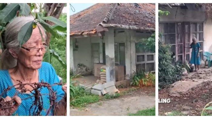 SOSOK Oma Metia, Hidup Sebatangkara di Rumah Terbengkalai, Ayahnya Jenderal Polri Era Hoegeng