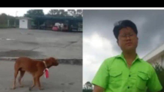 SOSOK Robert Herison, Kalungkan Bendera Merah Putih di Leher Anjing, Hotman Paris: Dimana Pidananya?