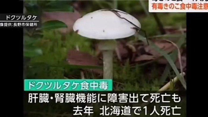 Seorang Tenaga Kerja Indonesia  (TKI) di Jepang bernama Aji Kurniawan (25) tewas setelah memakan 30 biji jamur liar di pinggir jalan di Kota Ueda, Nagano, Jepang.  