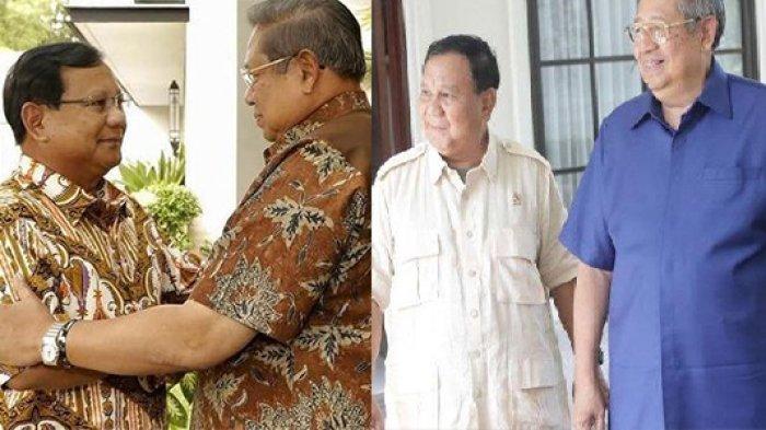 Susilo Bambang Yudhoyono (SBY)  bakal turun gunung perjuangkan Prabowo Subianto.