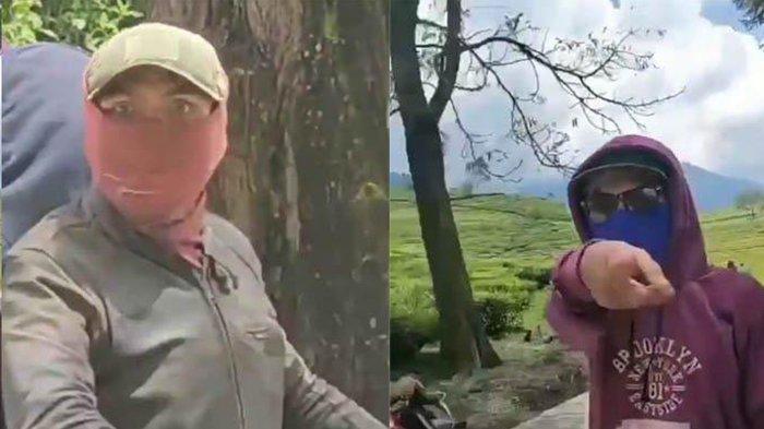 TAMPANG Kawanan Preman Kampung Palak Wisatawan di Kebun Teh, Pelaku Kini Dicari Polisi