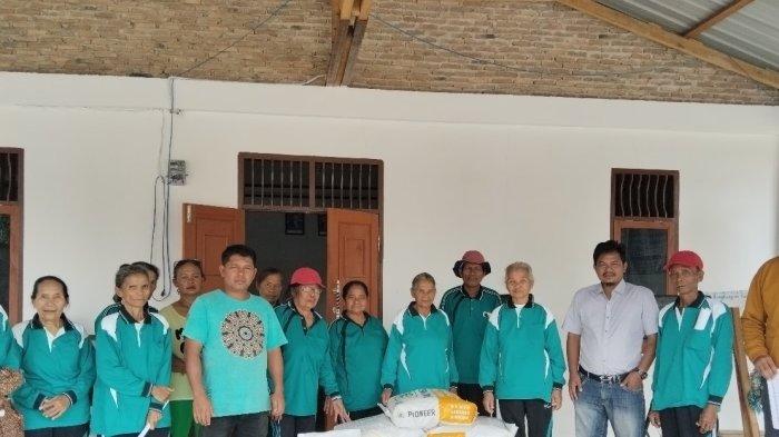 PT Toba Pul Lestari, Tbk Sektor Habinsaran memberikan bantuan bibit jagung kepada masyarakat Desa Napitupulu dan Desa Parsambilan, Kecamatan Silaen, Kabupaten Toba.