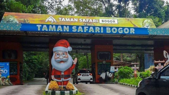 DUGAAN EKSPLOITASI- Taman Safari Indonesia (TSI) tengah menghadapi dugaan kasus eksploitasi yang dialami sejumlah mantan pemain sirkus. Kasus ini mendapat sorotan masyarakat Indonesia.