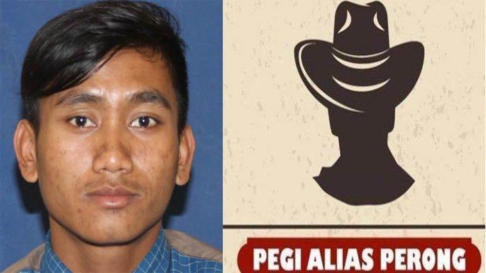 Tampang Pegi Setiawan alias Perong pelaku pembunuhan Vina Cirebon dan Eky telah beredar di media sosial. 
