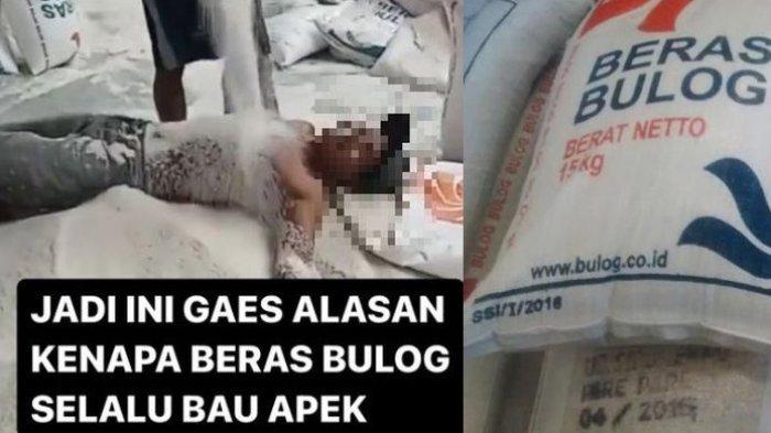 Tangkapan layar video viral pria tanpa baju berguling-guling di hamparan beras Bulog. (X/@kegblgnunfaedh)