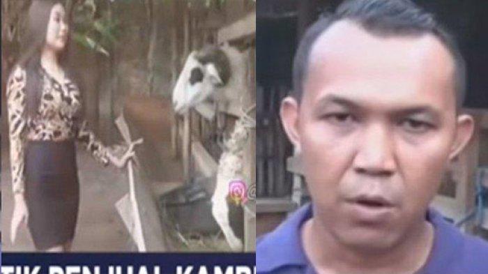 VIRAL Aksi Penjual Kambing Pakai Jasa SPG Cantik Promosikan Hewan Kurban, Laris Manis Laku 160 Ekor.
