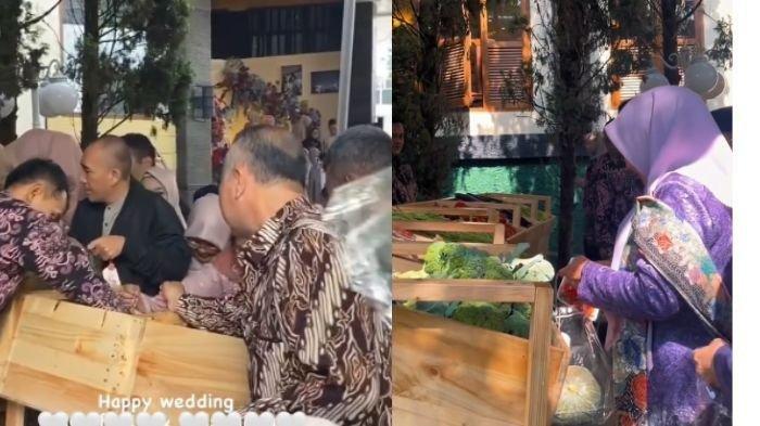 VIRAL Pengantin Bagi-bagi Suvenir Sayur di Acara Nikahannya, Tamu Emak-emak Semangat Ambil Sendiri