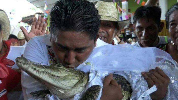 VIRAL Wali Kota Nikahi Buaya Betina Sampai Didandani Bak Pengantin, Rupanya Alasannya Karena Hal Ini