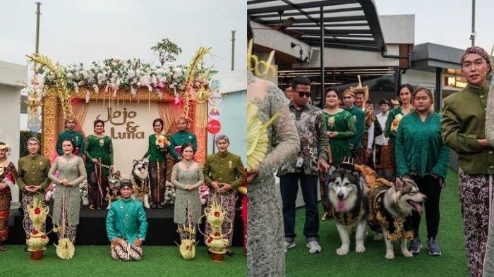 Viral pernikahan anjing bernama Jojo dan Luna yang memakai adat Jawa lengkap. Warganet minta pemilik diusut