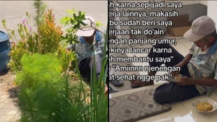 Viral seorang kakek di Pasuruan, Jawa Timur datangi rumah warga untuk cari kerjaan demi belikan hadiah untuk cucu. Video viral itu dibagikan oleh akun TikTok.