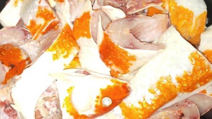 Amanda menjadikan Ikan Koi sebagai menu untuk masakannya.