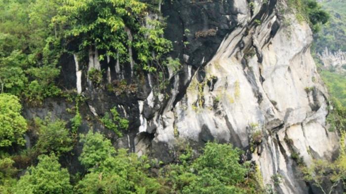 Tebing tempat batu gantung di Danau Toba. Batu Gantung yang menyerupai sosok manusia terjun terletak di lekukan tebing bagian atas.