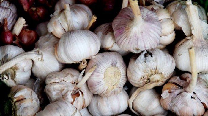 Ilustrasi bawang putih.