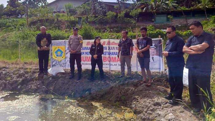 benih ikan milik bumdes boman pakpak