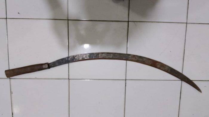 celurit yang dihunakan pelaku