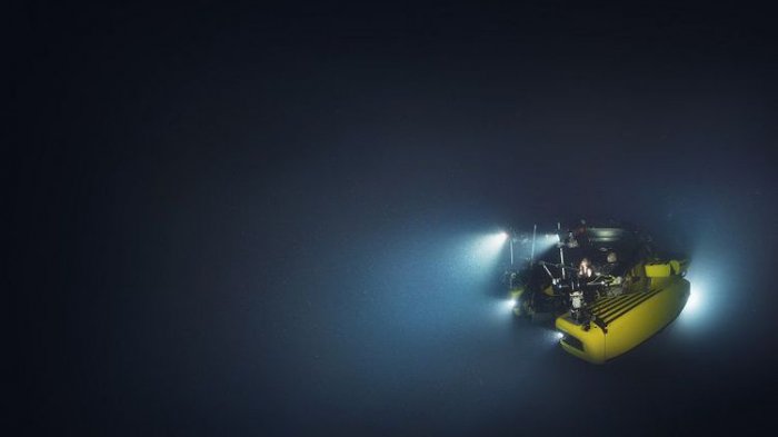 Menjelajahi samudera dengan menggunakan kapal eksplorasi OceanX Alucia. (Luis Lamar)