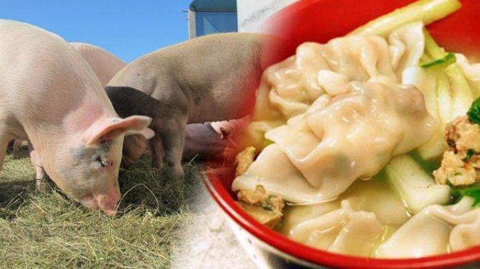 Ilustrasi Babi dan Pangsit