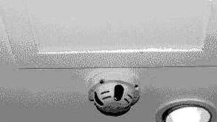 Ilustrasi CCTV