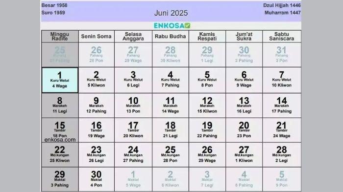 KALENDER JUNI- Pada kalender Juni 2025 terdapat sejumlah tanggal merah, libur nasional dan cuti bersama.