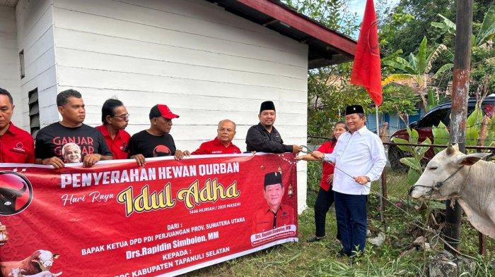 Di hadapan warga dan kader partai, Rapidin Simbolon menyerahkan hewan kurban sebagai bentuk pengamalan ajaran Bung Karno: dekat dengan rakyat, berbuat nyata untuk kemanusiaan di Kantor DPC PDI P Tapsel, Selasa (3/6/2025)