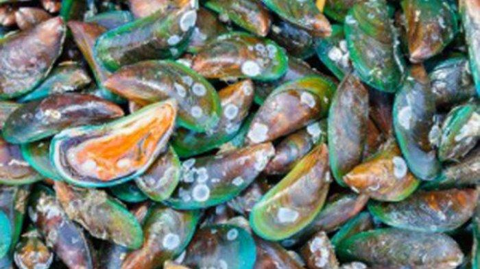 Ke Rang Simak Suka Makan Seafood? Awas Keracunan Kerang, Simak Penjelasannya ...