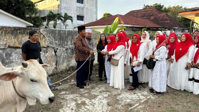 Seorang warga memegang tali sapi kurban yang baru diserahkan oleh PDI Perjuangan. Di tengah langit mendung Tapanuli Selatan, seekor sapi menjadi simbol kepedulian dari akar rumput untuk akar rumput.