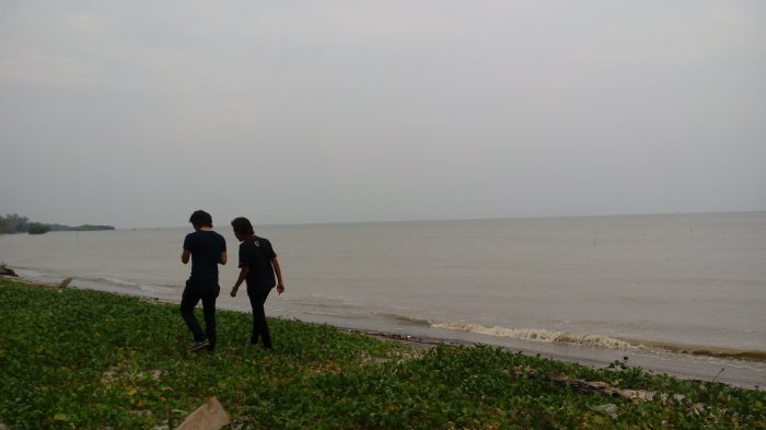 Rumput hijau di pinggiran Pantai Muara Indah mempercantik sekaligus membuatnya semakin terlihat alami.