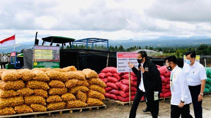 Presiden Jokowi tinjau Food Estate di Humbang Hasundutan, Sumatera Utara, Selasa (27/10/2020).