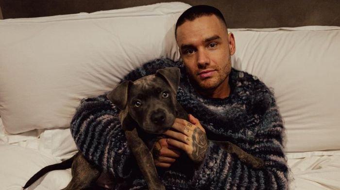 Liam Payne, mantan personel boyban One Direction tewas di hotel Argentina
