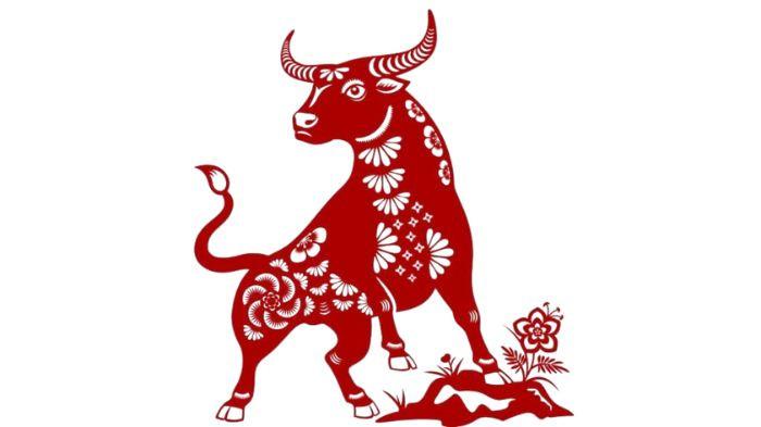 SHIO KERBAU- Menurut ramalan shio hari ini 19 Juli 2025, bahwa Shio Kerbau tampak bersinar dibanding shio lainnya. Rezeki dan keberuntungan akan mengikuti Shio Kerbau.