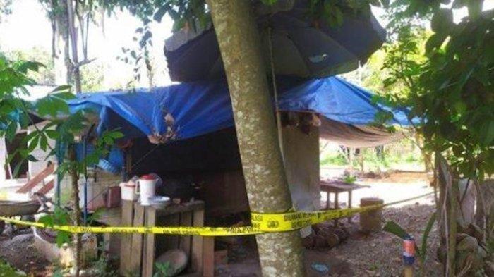 Inilah kondisi rumah R dimana kejadian pembunuhan Feni . Ia tinggal digubuk 2x3 meter atap terpal