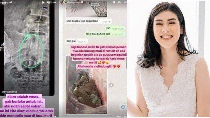 Stevie Agnecya yang meninggal dunia kabarnya kena santet