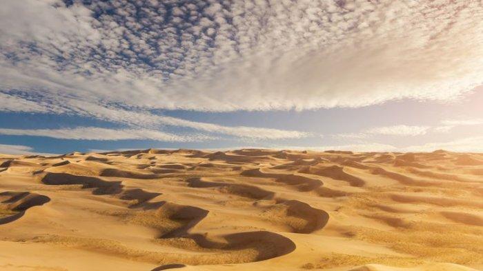 Suhu panas akibat pemanasan global terasa seperti di Gurun Sahara.