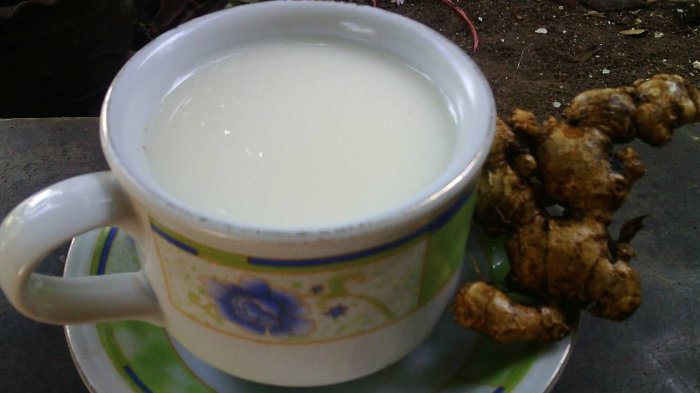 Susu Jahe