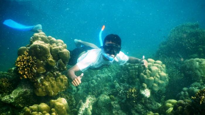 Terumbu karang Pulau Mursala.